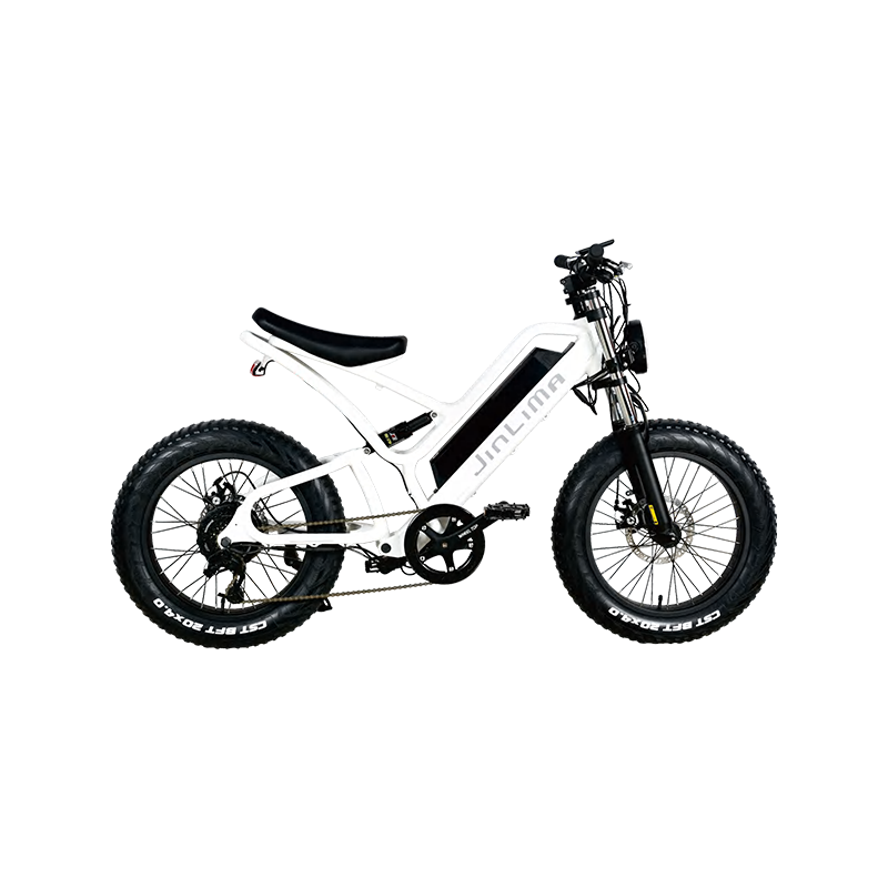 Quels sont les principaux types de vélos électriques disponibles sur le marché?