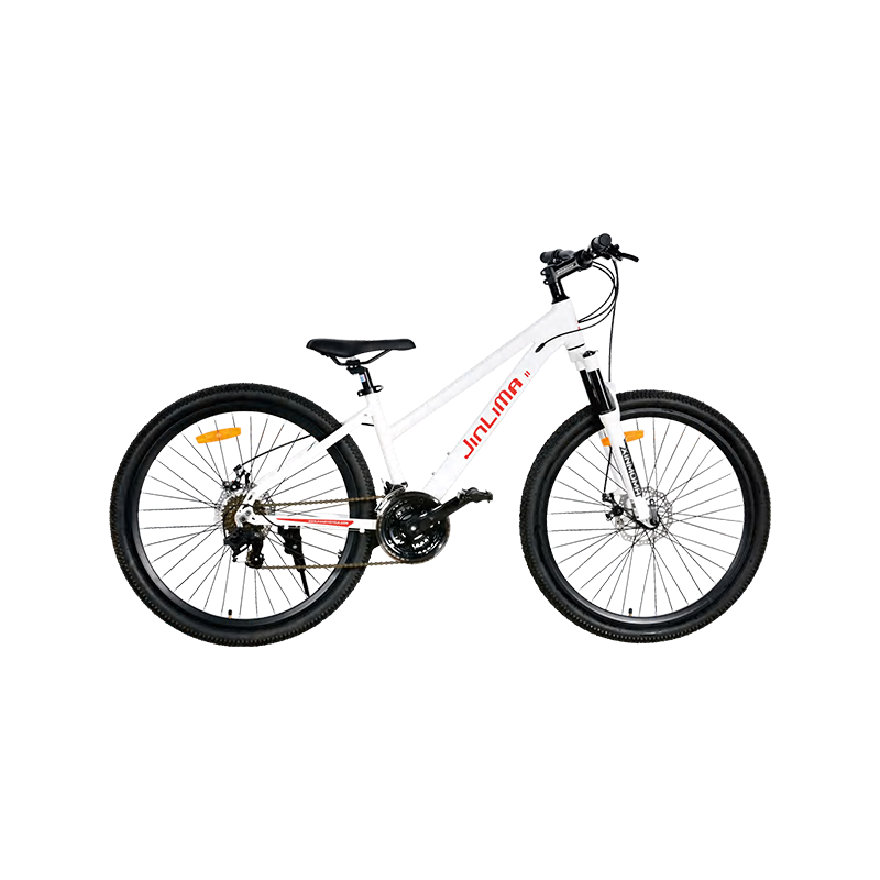 Le vélo de 26 pouces: un choix équilibré pour la conduite polyvalente