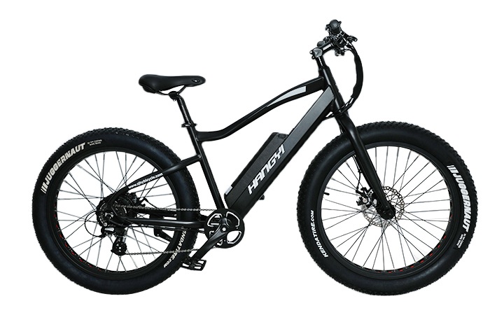 La nouvelle année commence par la conduite d'un vélo électrique pour faire de l'exercice