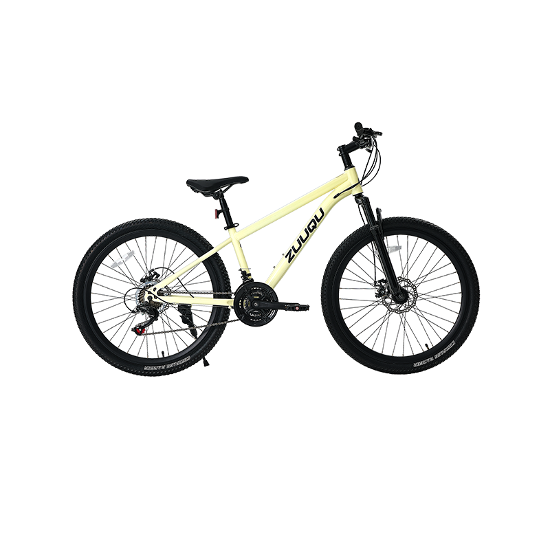 21 vitesses Disc frein 26 "MTB
